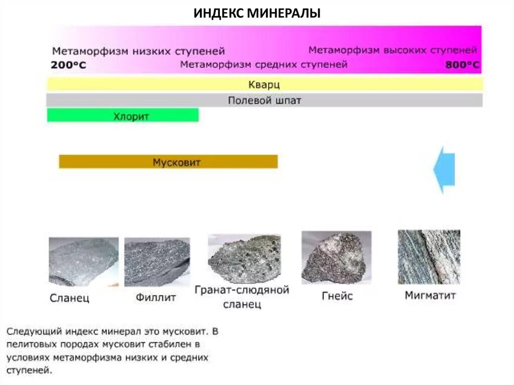 Метаморфические горные породы. Минералы метаморфических пород. Метаморфизм минералов. Минералы высокотемпературного метаморфизма. Метаморфические породы мел