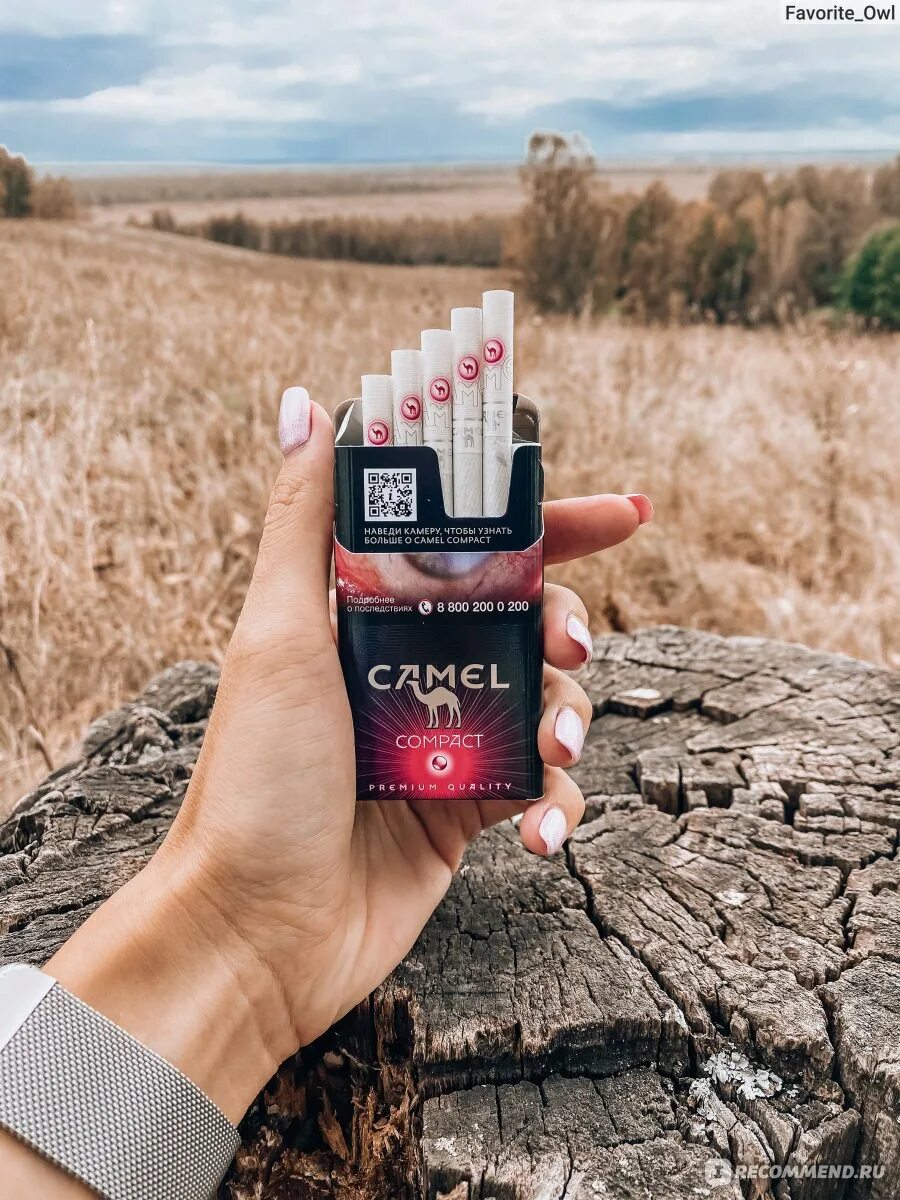 Кэмел с кнопкой вкусы. Кэмел с кнопкой вкусы. Camel compact с капсулой. Camel compact с кнопкой 100. Сигареты camel compact 100.