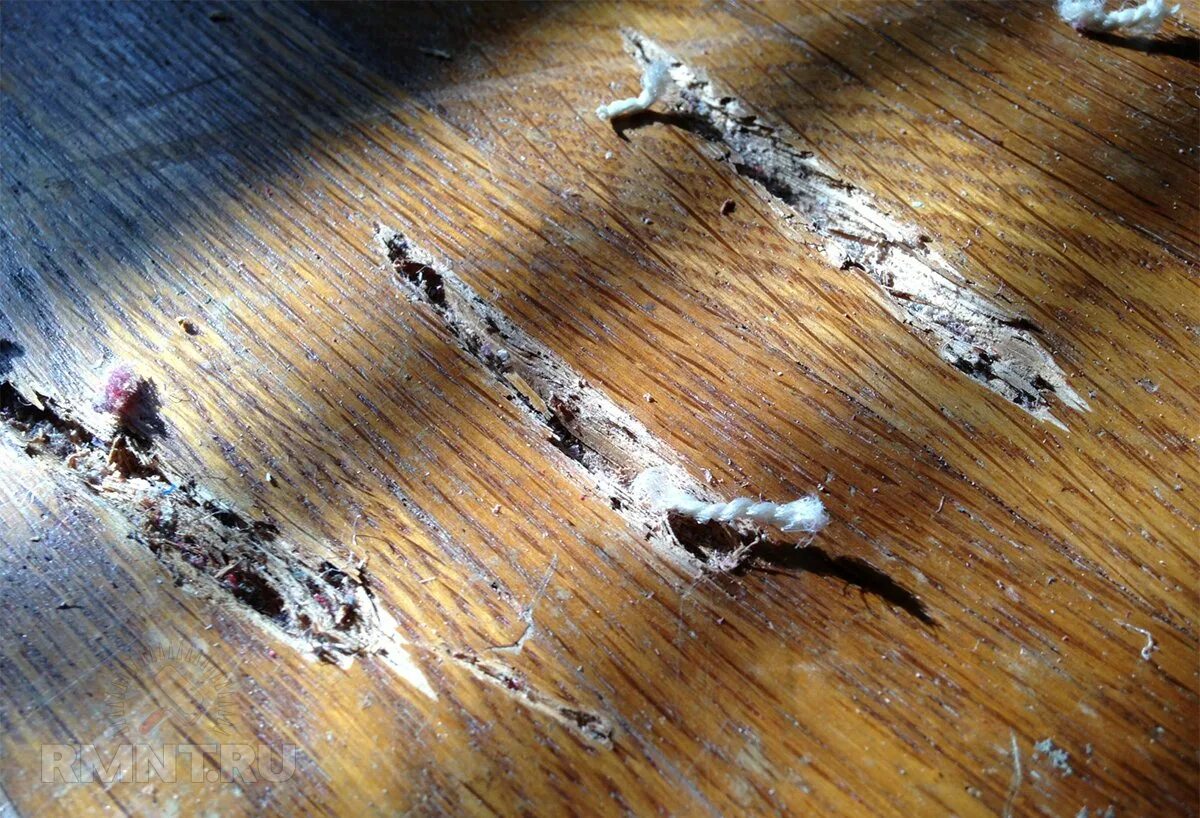 Сломанный ламинат. Поврежденный линолеум. Сломанный деревянный пол. Повреждения ламината.