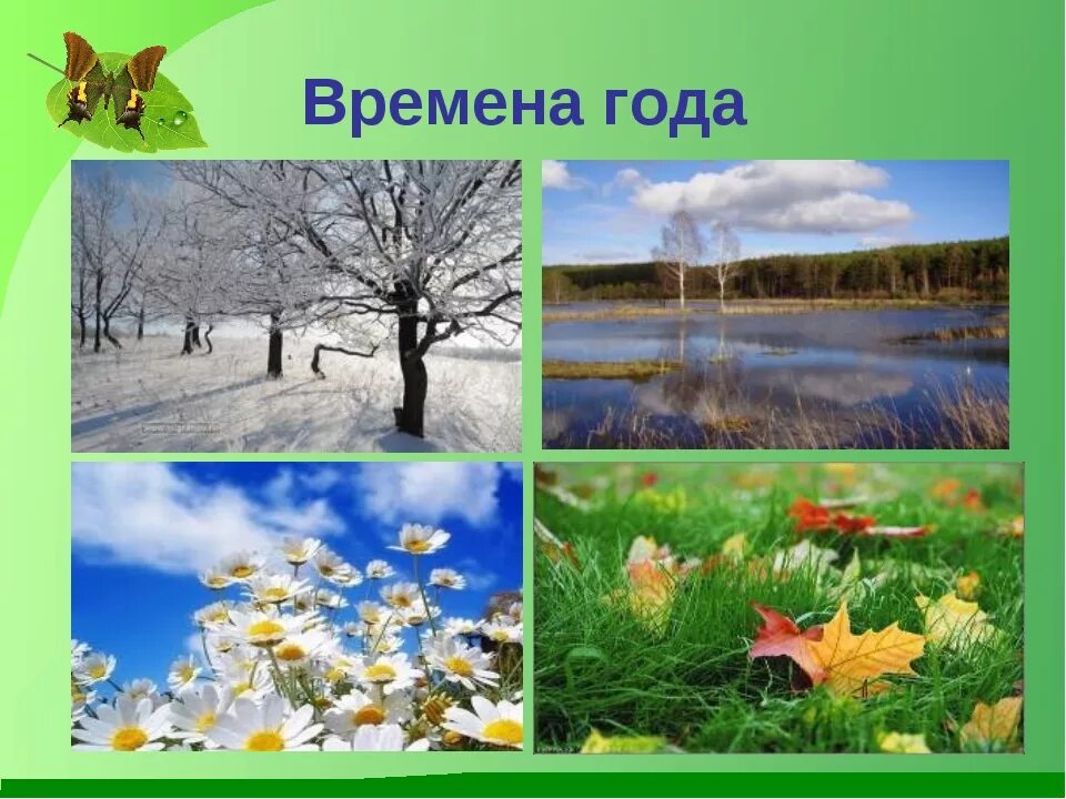 Проект времена года. Сезонные изменения в природе. Времена года 2 класс. Времена года слайд.