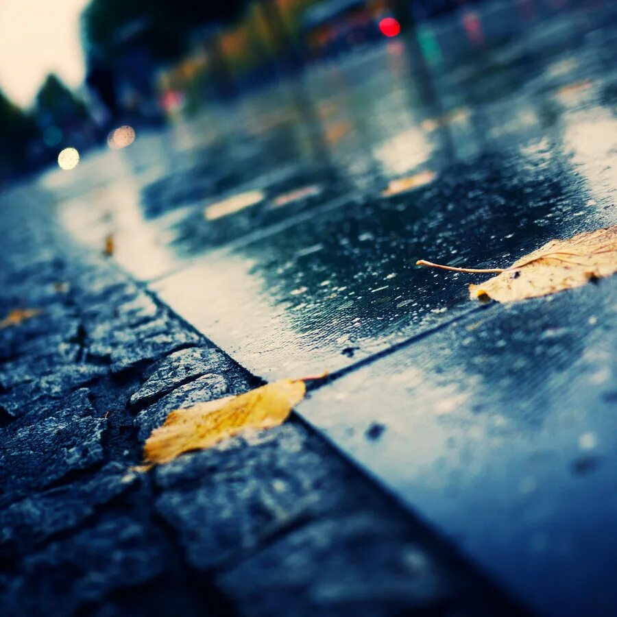 Листья на асфальте. Осень асфальт. Осень дождь асфальт. Дождливый день.