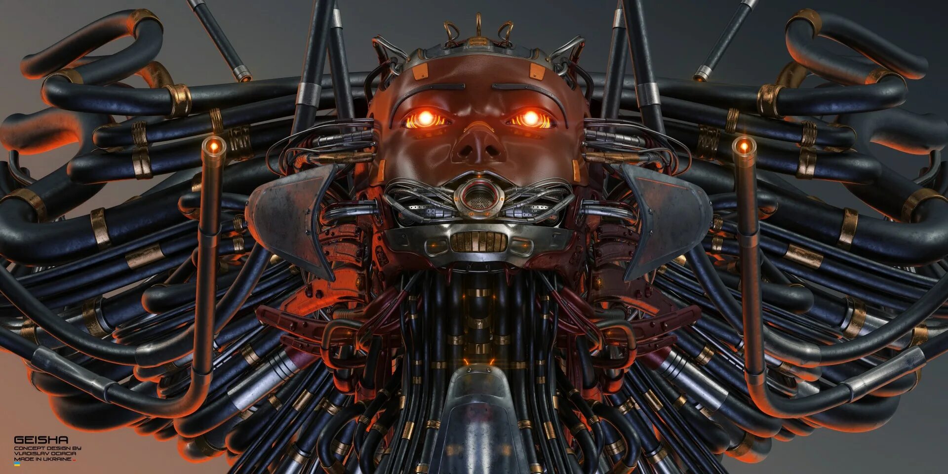 Flibusta2 robot