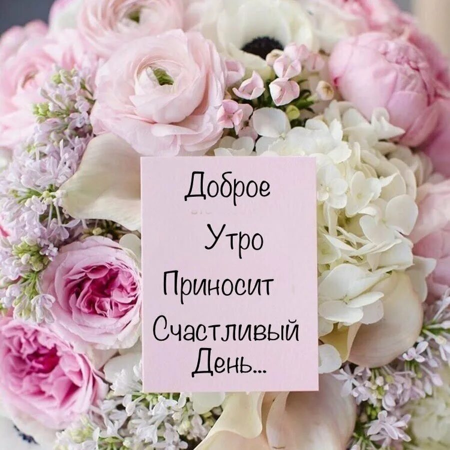 Желаю счастливого утра. С днем рождения пионы. Пожелания на утро. Хорошего дня с пожеланиями стильные. Модные пожелания с добрым утром.