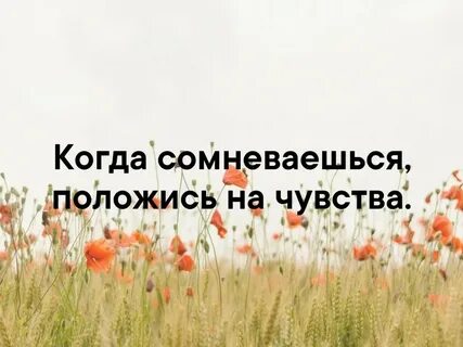 Когда в пути душа утомляется