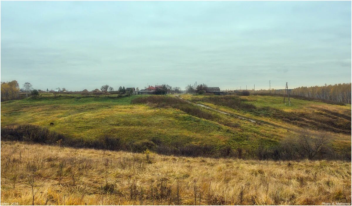 Пустырь в поселке. Пустырь в деревне. Край ты заброшенный есенин. Пустырь в деревне. Пустырь за деревней.