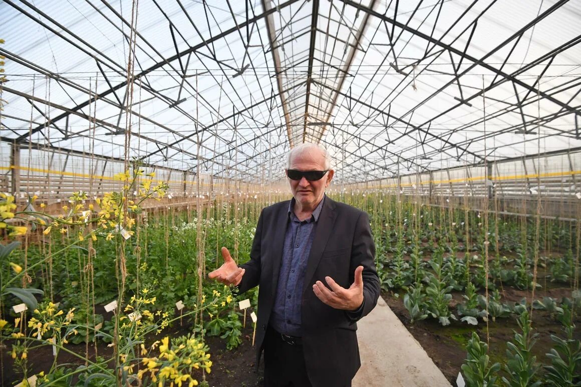 мичуринский сад тимирязевская академия. питомник тимирязевской академии в москве. тимирязевская академия саженцы. тимирязевская академия саженцы. тимирязевская академия питомник.