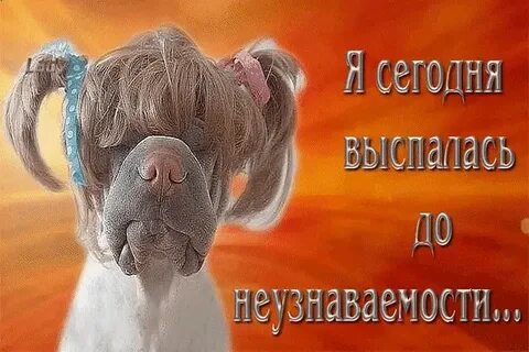 Выходные дни продолжаются