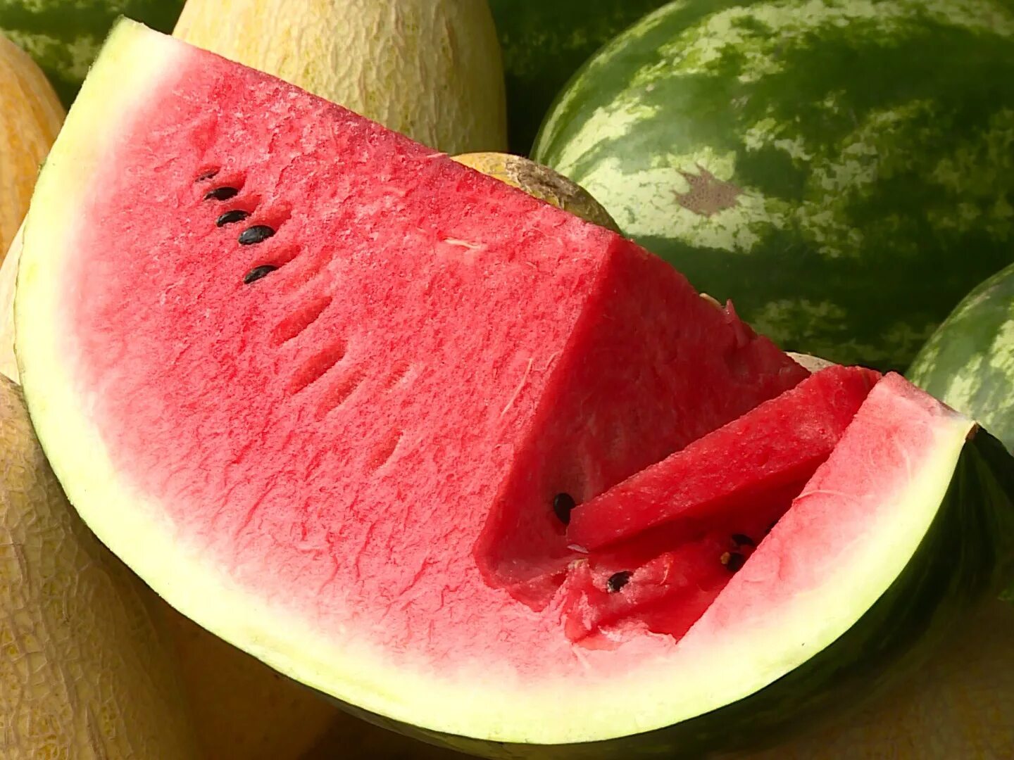 Гибрид арбуза и дыни. Арбуз и дыня картинки. Дыня. Арбузная дыня. Бахчевые культуры дыня.