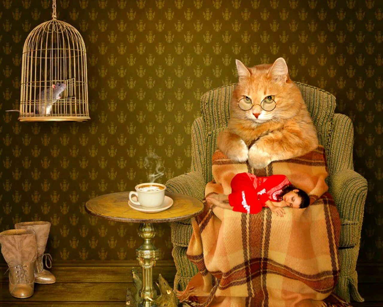Прикольные картинки вечером. Уютного вечера. Уютный вечер с котом. Уютный вечер с кошкой. Кот в пледе.