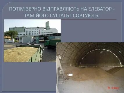 В одном элеваторе было зерна в 3