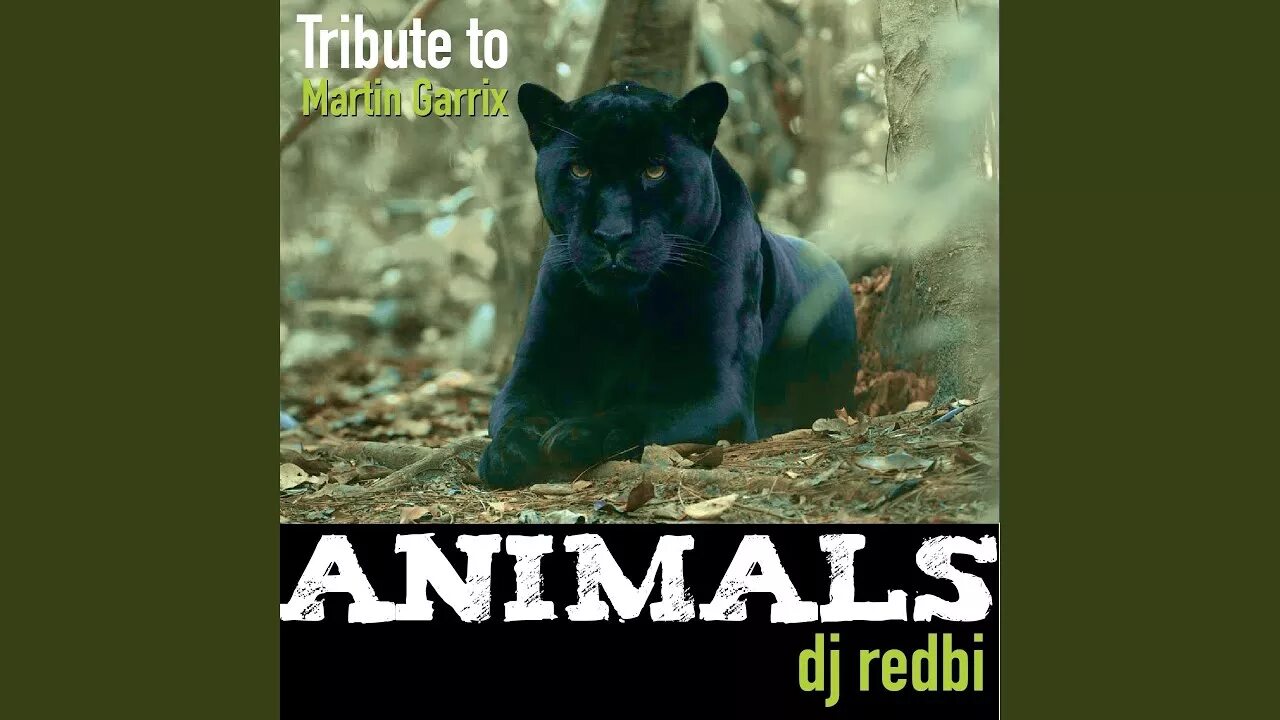 Martin garrix animals обложка. Песня анимал. Martin garrix animals instant party! remix. Трек animals. Martin garrix animals.