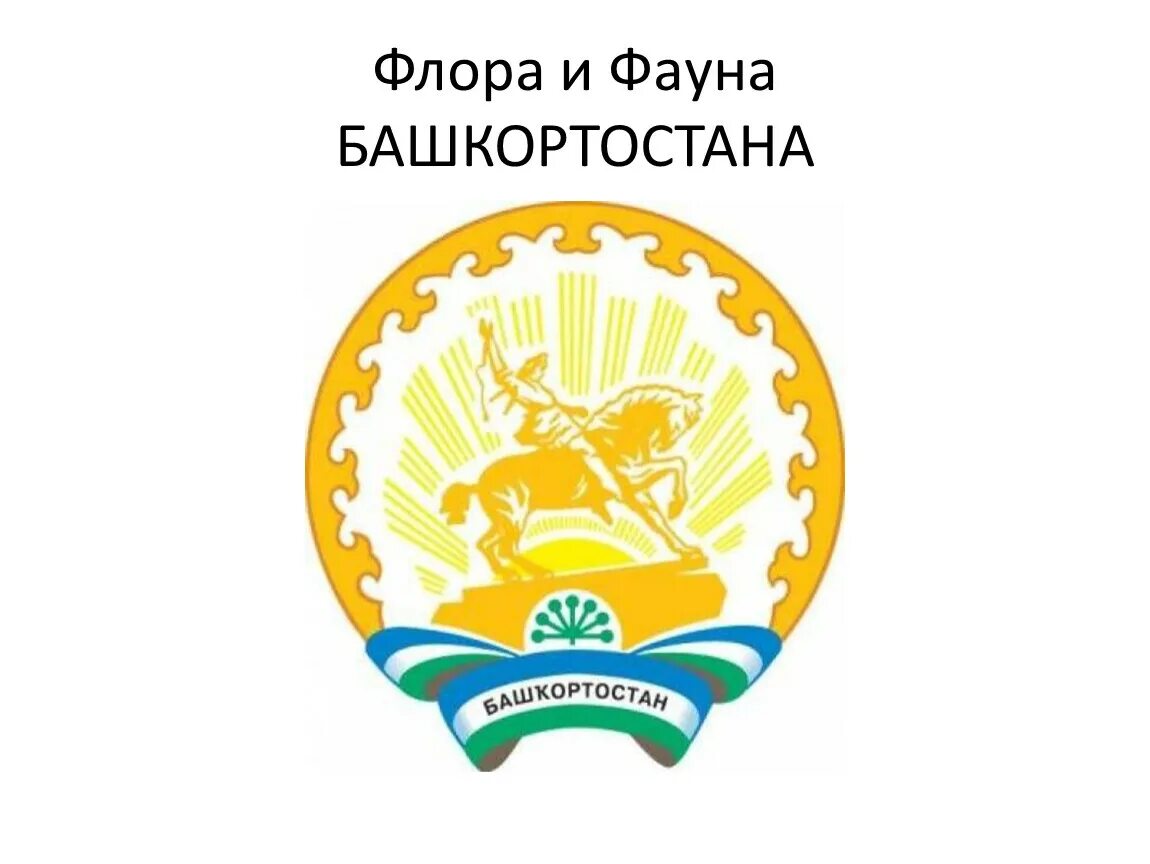 Логотип рб. Герб республики башкортостан. герб сибай башкортостан. государственный герб башкирии. правительство республики башкортостан логотип.