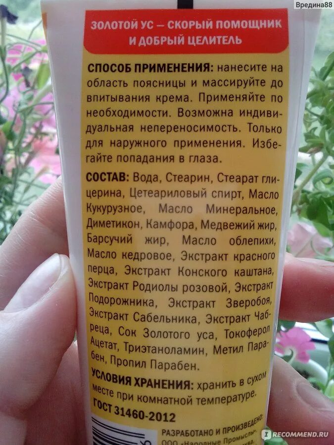 Как вылечить золотистый. Сок золотого Уса. Золотой ус растение применение. Чем полезен золотой ус. Золотой ус с сабельником.