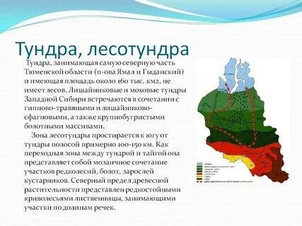 Природные ресурсы тундры и лесотундры