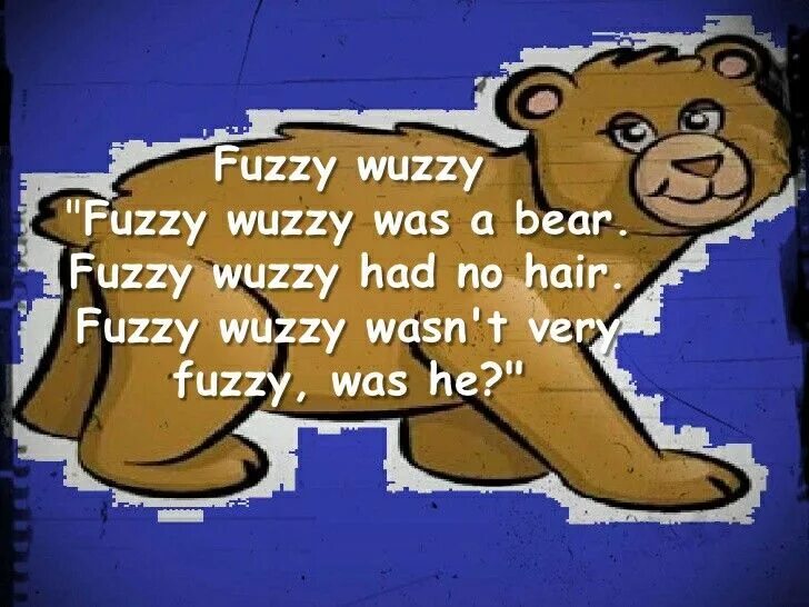 A bear has got