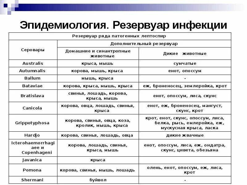 Резервуар инфекции. Резервуар инфекции это. резервуар возбудителя инфекции. резервуар инфекции это эпидемиология. типы резервуаров инфекции.