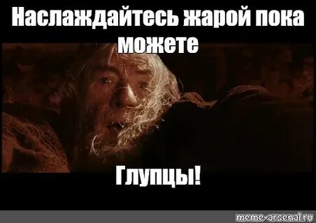 Поверили глупцы другим передают