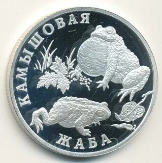 1 рубль 2004 год