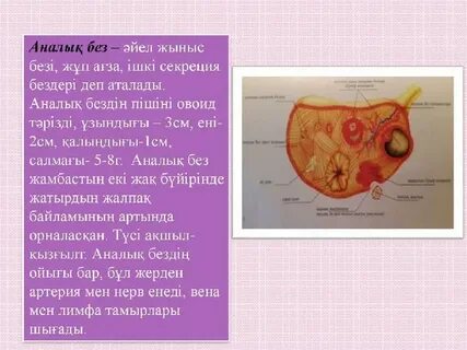 Сочи және онлайн блять