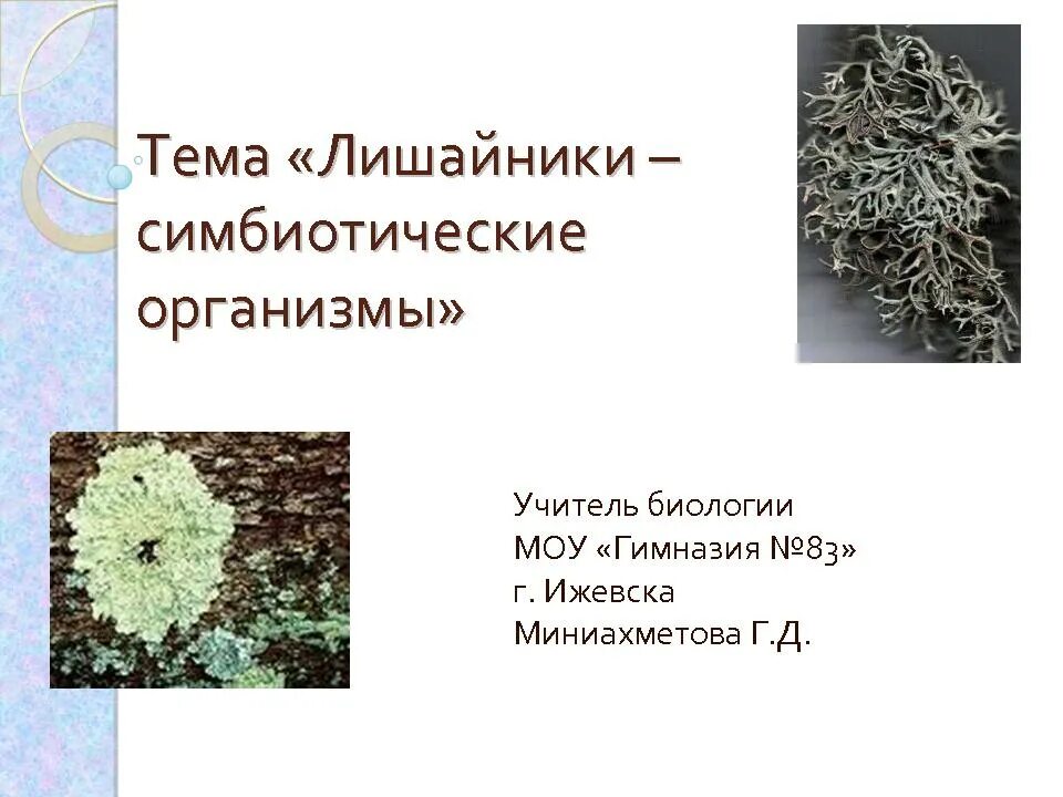 Кроссворд лишайники. Лишайники 5 класс биология. Лишайники комплексные симбиотические организмы 7 класс. Лишайники в природе и жизни человека. Строение лишайника.