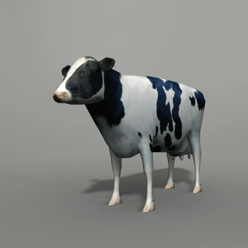 Cow model