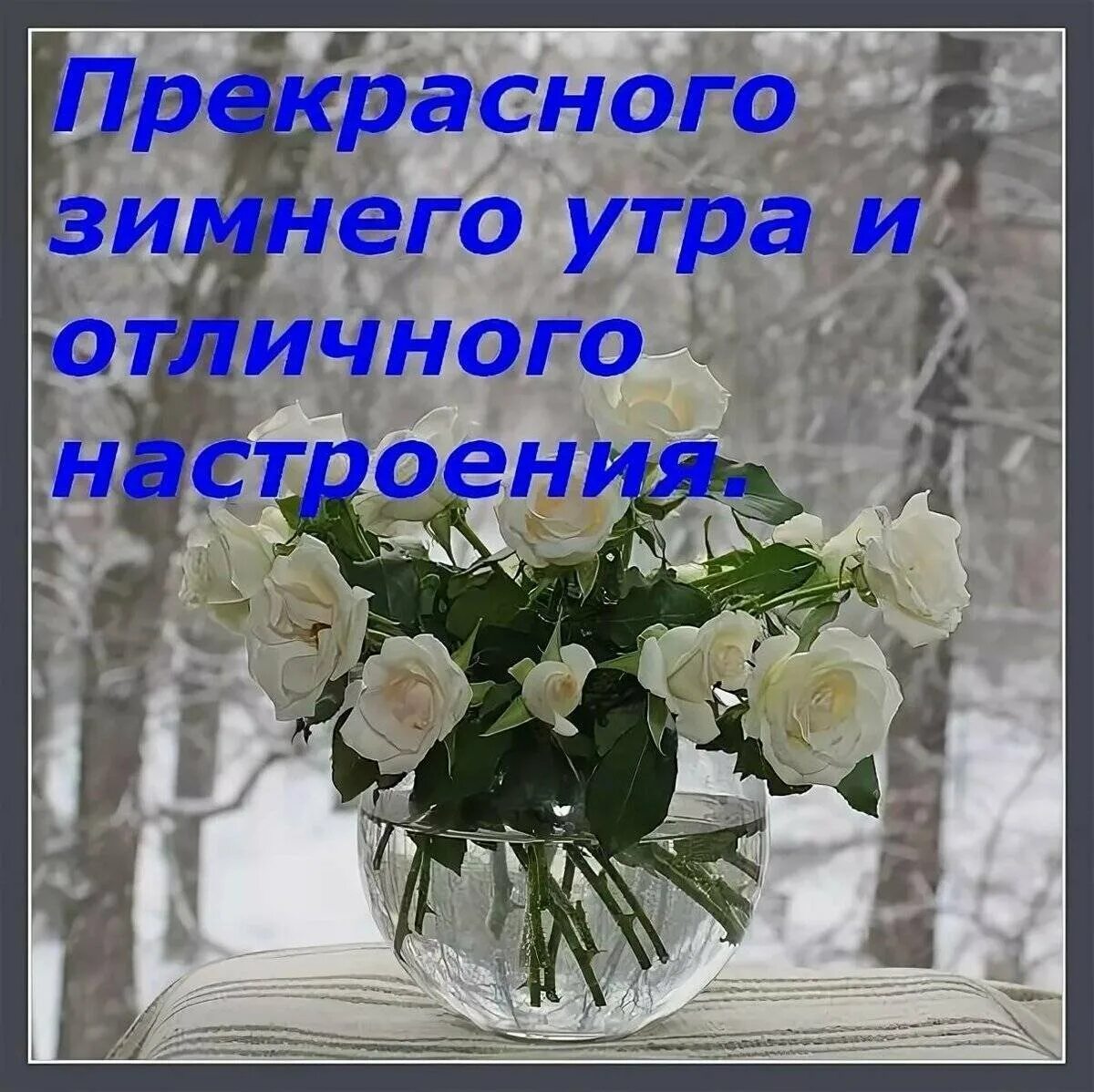 Субботнего и воскресного дня. Доброе Воскресное зимнее утро. Пожелания с добрым утром зимние. Доброго зимнего воскресного дня. С добрым воскресным зимним утром.