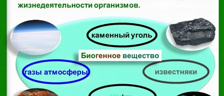 Биогенное вещество. Каменный уголь это биогенное вещество косное вещество. Каменный уголь это биогенное вещество косное. Полезные ископаемые биогенного происхождения. Биогенным веществам относят