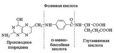 Фолиеву кислоту