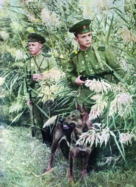 Семёнов алексей николаевич (1928- 2008) картины. Шел со службы пограничник авторы. Пограничный сон. Охрана границы россии. Марина успенская художник.