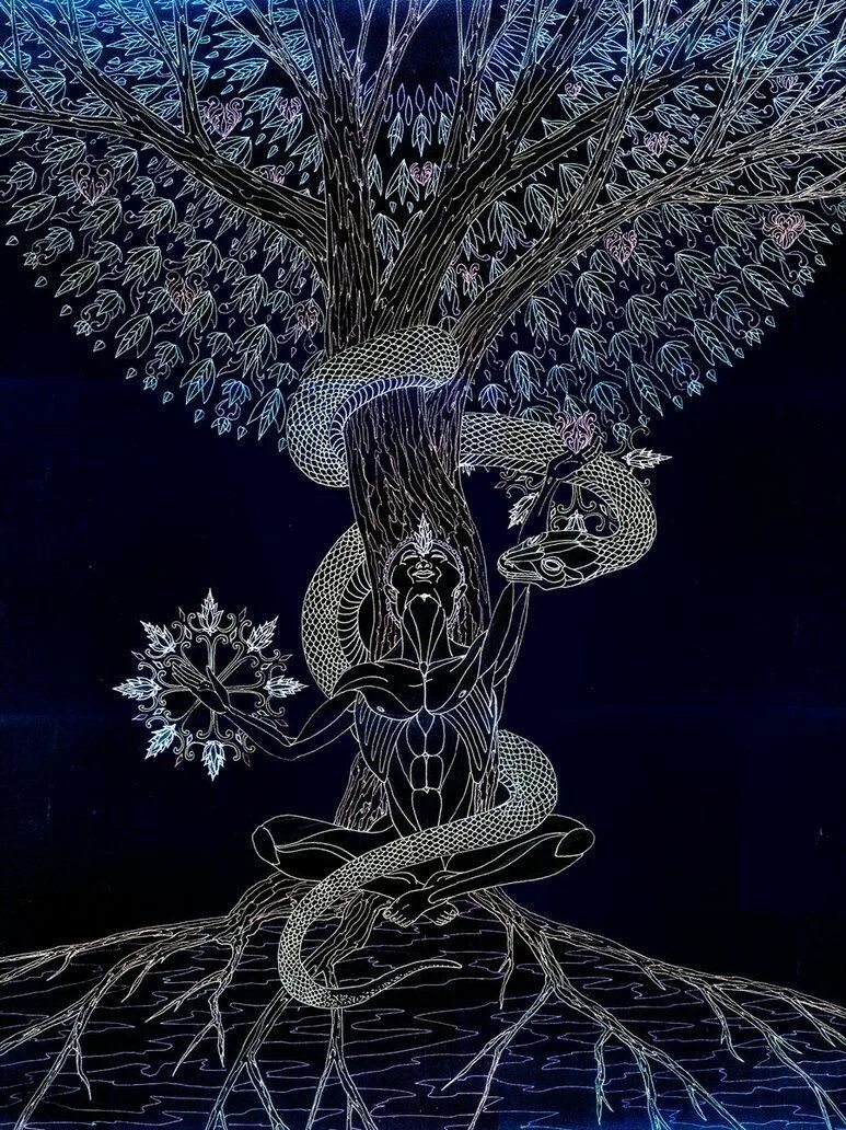 Древо днк. Древо жизни (tree of life (2025)) мил хил. дмитрий киркинский древо жизни. мировое древо таро. &quot;древо жизни&quot; (1953).