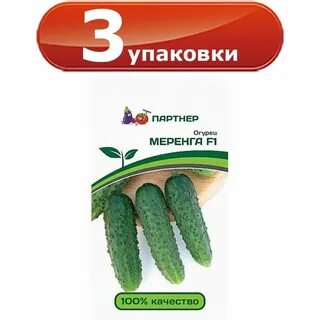 Описание огурцов меренга
