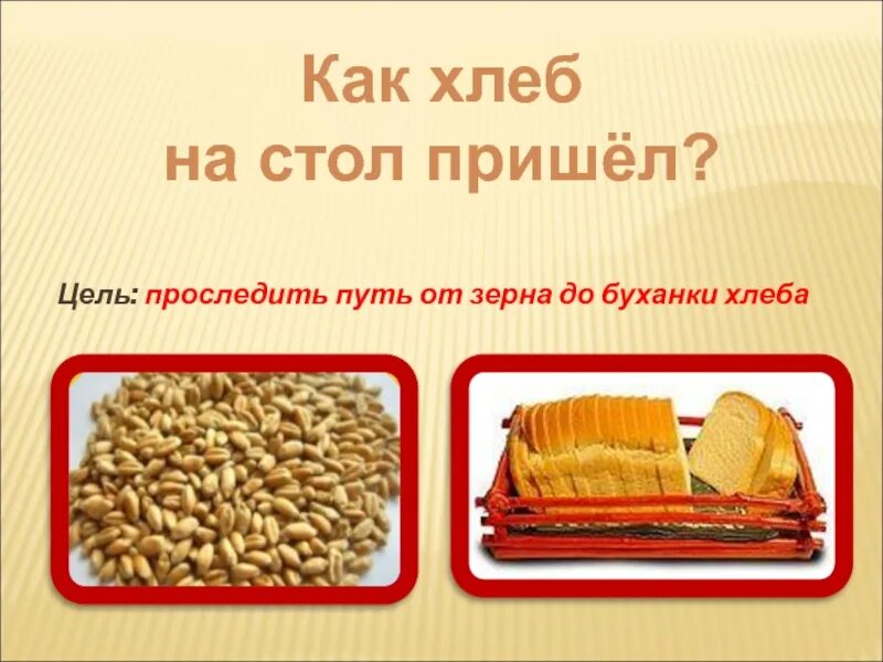 Пришли зерна. От зернышка до каравая. Пришли зерна. Пришли зерна. Путь от зернышка до хлеба.
