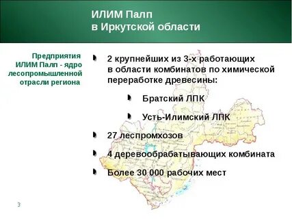 Иркутский лесной комплекс