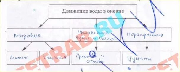 Схема движения воды в океане. Классификация движений воды в океане схема. Схема движения воды в океане 6 класс. Движение воды в океане таблица. Причины движения вод