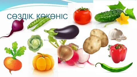 Интернетте әртүрлі порно көру