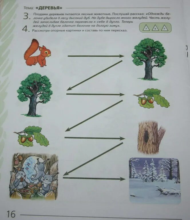 Арбекова развиваем связную речь 4-5. Логопедическое занятие лес деревья. Задания на тему деревья. Теремкова развиваем свзну речь.