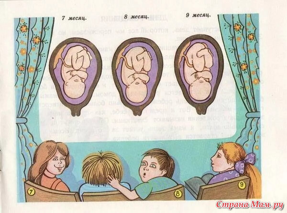 Откуда берется 29