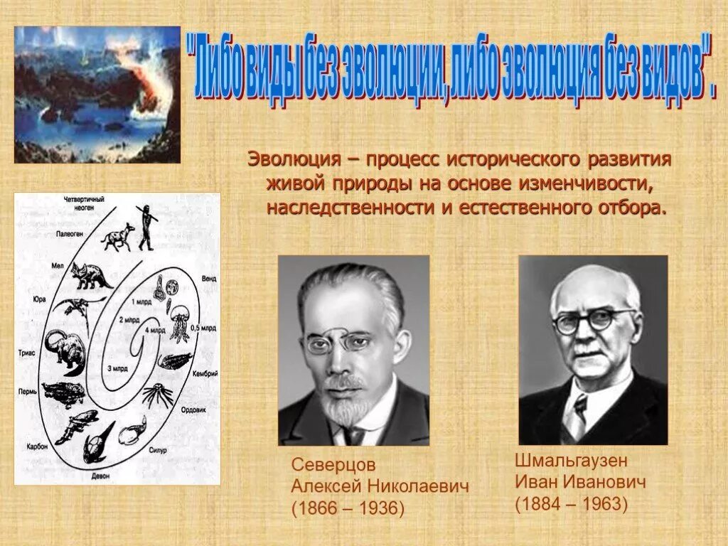 Основные направления эволюции. Эволюция процесс исторического развития живой природы. Северцов и Шмальгаузен. Северцов направления эволюции.