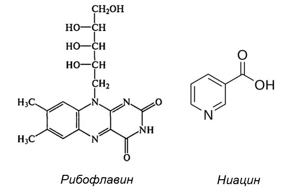 Atf cofactor. рибофлавин ниацин. Max amino caps. Nature's way riboflavin vitamin b2. б-12 витамины в капсулах цена в аптеках.