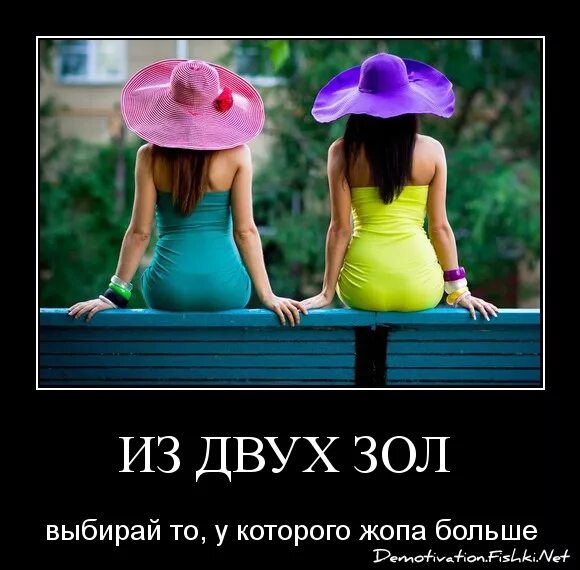 Выбирать из двух зол. Из двух зол выбирают меньшее. Если выбирать между злом и большим. Из двух зол выбирай. Выбор меньшего из двух зол.