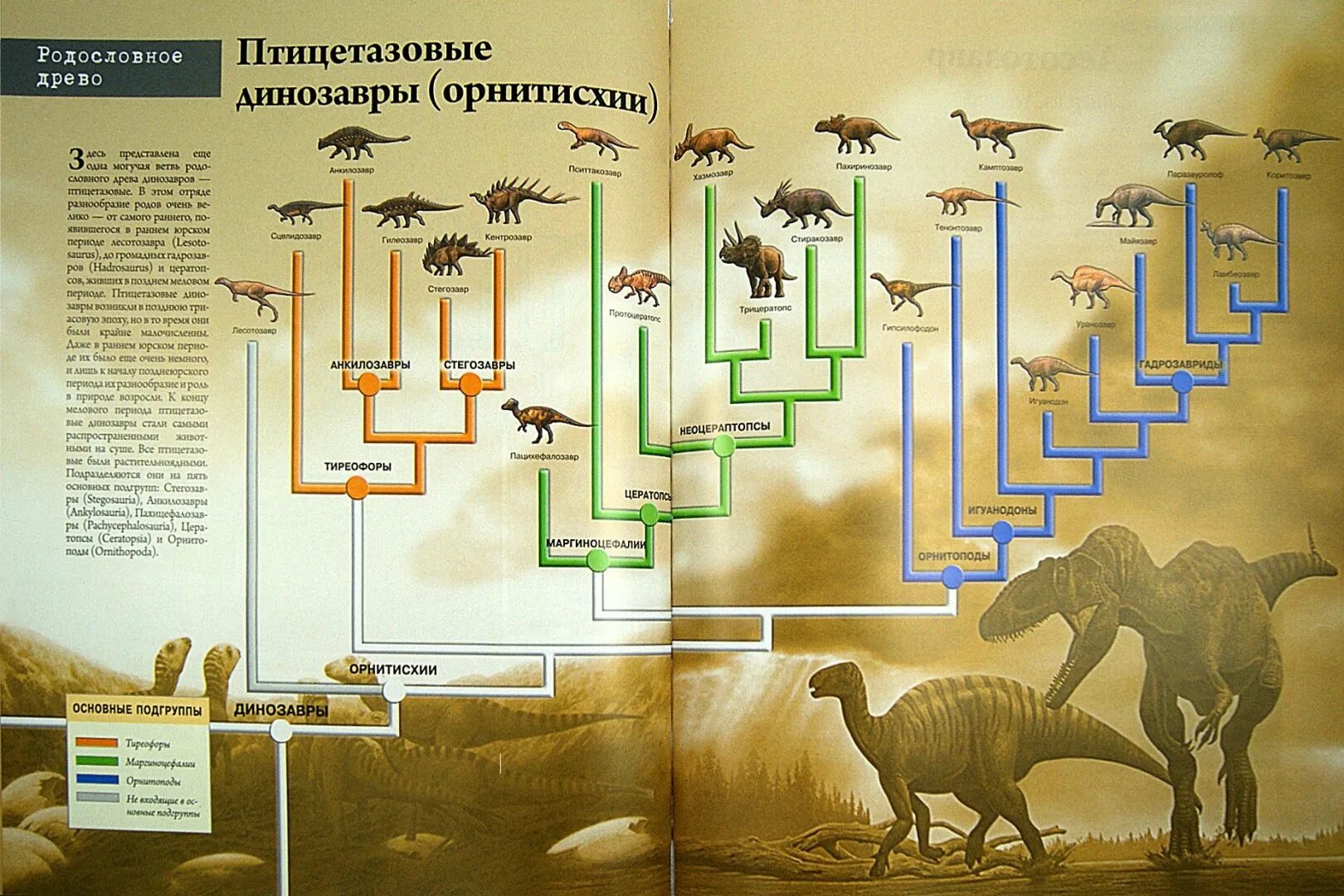 Мое перерождение в древо эволюции 181. Филогения птиц схема. Древо динозавров. Эволюционное Древо динозавров. Филогенетическое Древо динозавров.