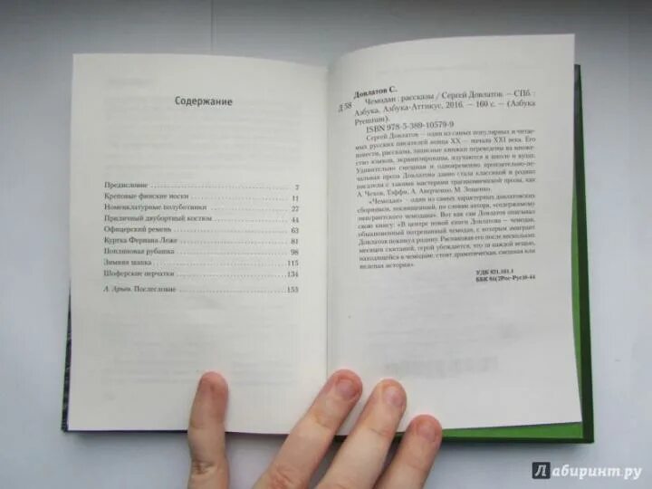 Чтец книга краткое. Чтец книга краткое
