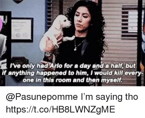 I ve met him. I've only had Arlo for a Day and a half Мем. I've only had Arlo for a Day and a half, but if anything happened to him, i would Kill everyone in this Room and then myself.. If anything happens to him i will Kill. But if anything happened to him.