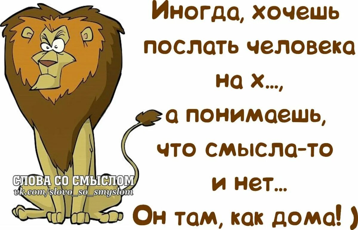 Цитаты со смыслом короткие с юмором. Смешные высказывания в картинках. забавные фразы. фразы со смыслом смешные. смешные цитаты со смыслом.