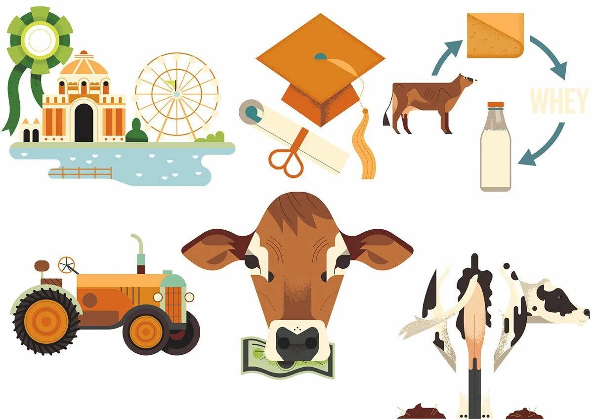 Processing of animals