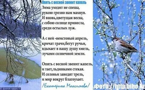 Ярко солнце светит щебечет воробей