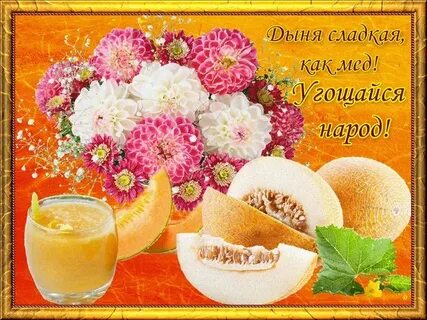 Дыня утром