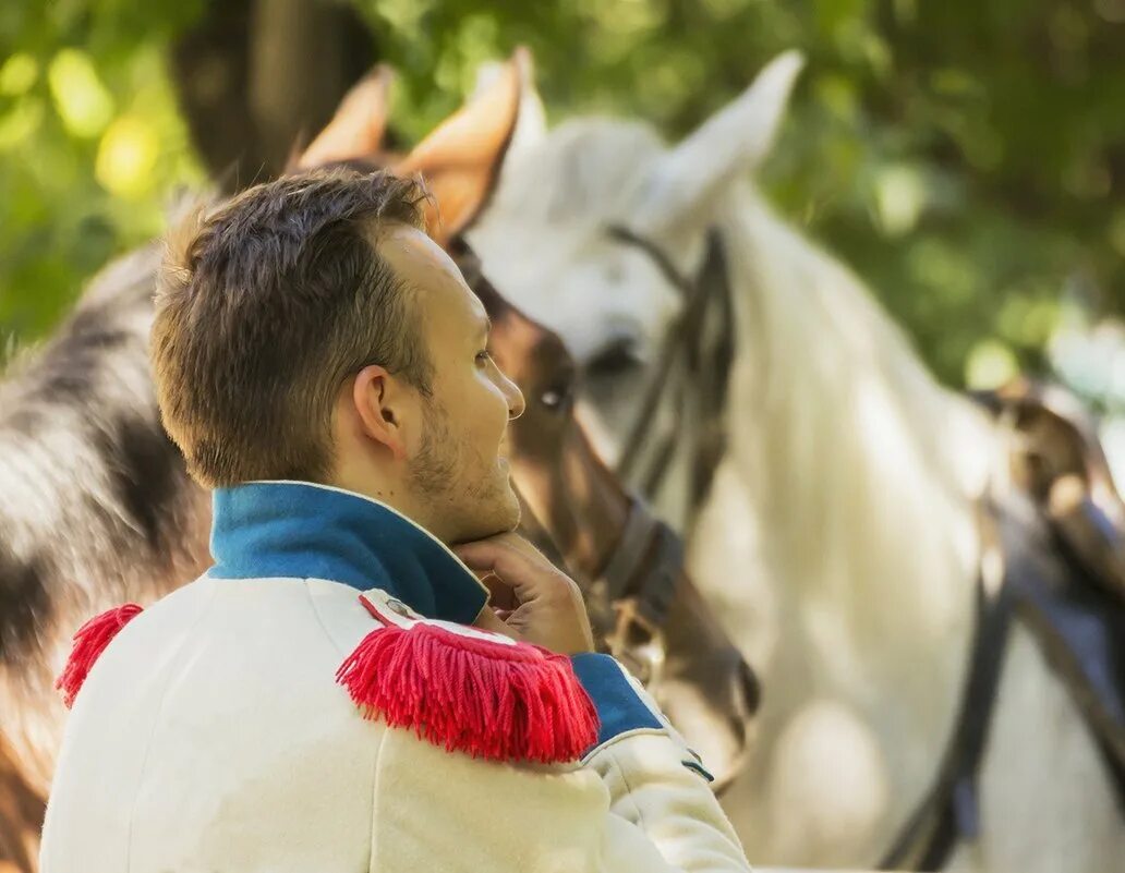 Красавец гусар. Рыльский гусар. Красавец гусар. Поручик 1812 года. Гусары на конях.