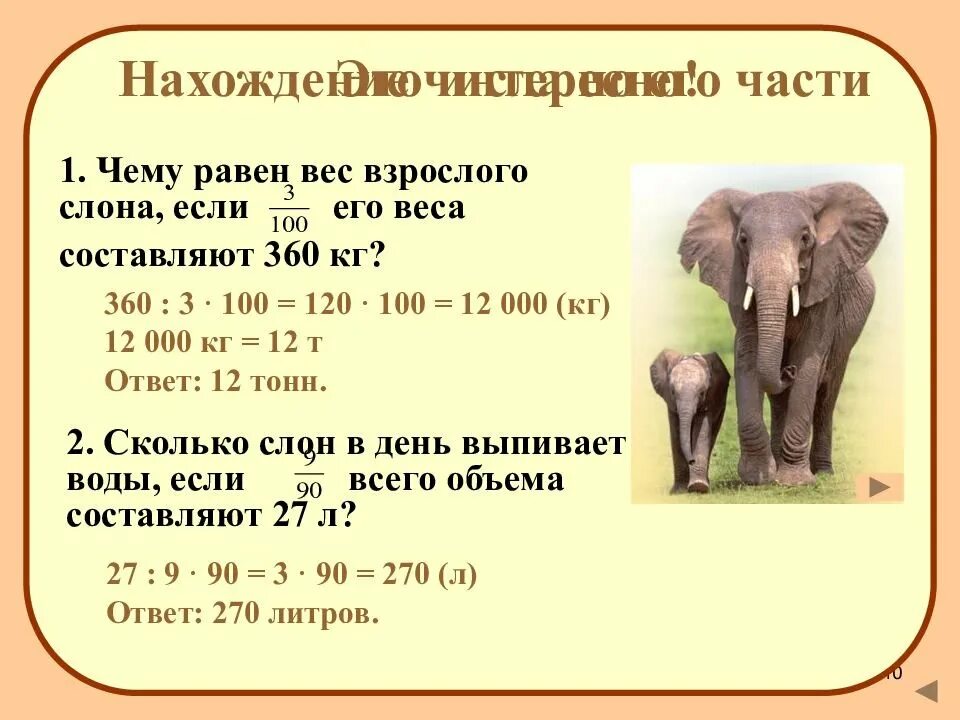 А вес составляет 5 5. Сколько весит слон. Вес африканского слона. Сколько весят слоны. DTC dphjckjuj ckjyf.