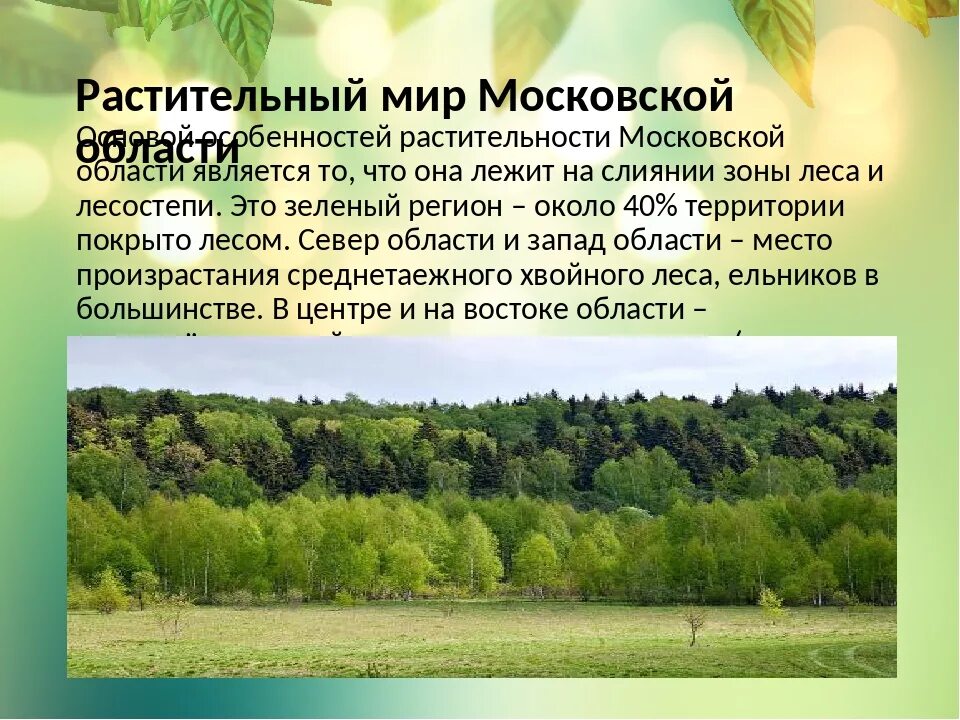 Какая природа в московской области. Растительный мир Подмосковья. Разнообразие природы Московской области. Разнообразие родного края Подмосковья. Разнообразие природы в Подмосковье проект.